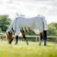 Horseware Flyboot